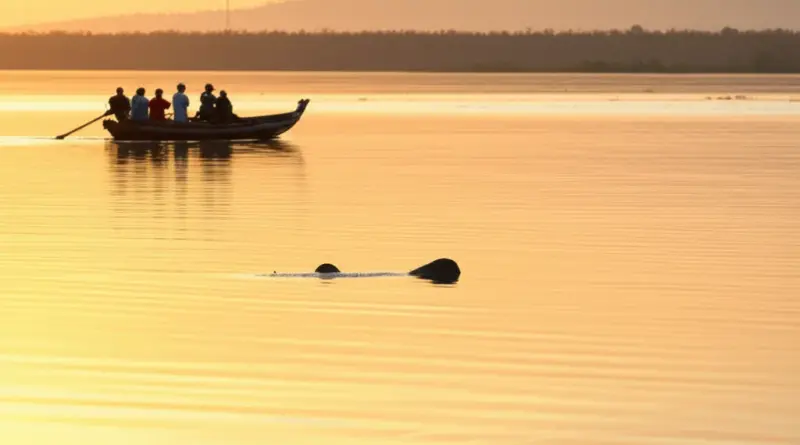 Dolphin Spotting on the Mekong: Where to See Irrawaddy Dolphins, Best Times, Responsible Tour Operators, and What to Expect