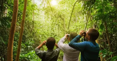 Nam Et-Phou Louey National Park: The Ultimate Guide to Wildlife Spotting and Jungle Treks