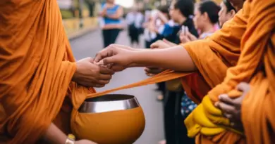 Step-by-step guide to attending the procession: where to go, how to position yourself, how to offer alms correctly, and photography etiquette