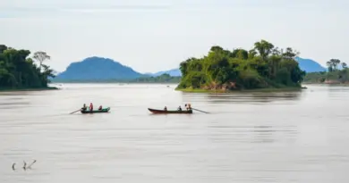 The 4000 Islands (Si Phan Don): The Ultimate Guide to Island Hopping, Dolphin Spotting, and Slow-Travel Adventures