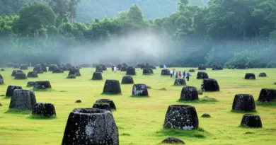 The Enigmatic Plain of Jars: Essential Guide — History, Practical Tips, and What to Expect When You Visit