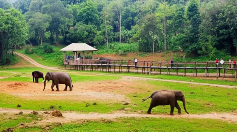 Top Ethical Sanctuaries to Visit in Laos — Profiles, locations, visitor experiences, conservation focus, and admission policies
