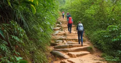 Top Northern Laos Trekking Routes Explained – Luang Namtha, Phongsaly, Nam Et-Phou Louey, and Muang La (Difficulty, Duration, Scenery)