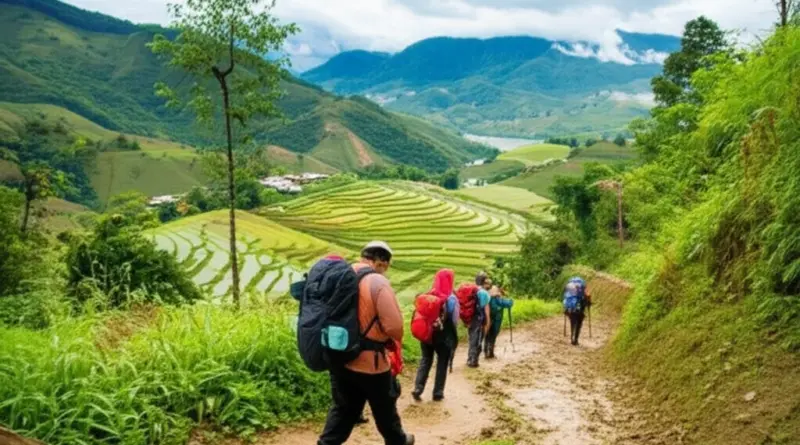 Trekking in Northern Laos: The Best Trails, What to Expect, and How to Choose the Right Tour Operator