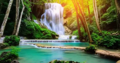 Where is Kuang Si Falls and how do I get there? (location, transport options, best times to visit)