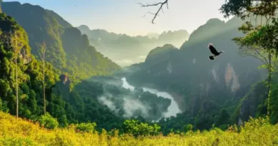 Why Visit Nam Et-Phou Louey? Understanding the Park’s Unique Ecosystems, Best Seasons, and What Wildlife You Can Expect to See