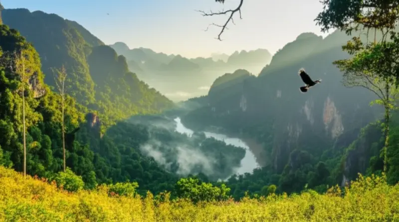 Why Visit Nam Et-Phou Louey? Understanding the Park’s Unique Ecosystems, Best Seasons, and What Wildlife You Can Expect to See