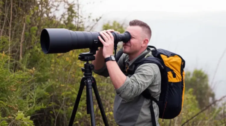 Wildlife Spotting Techniques and Ethical Practices: Where to Find Key Species, Best Times for Sightings, and Responsible Photography