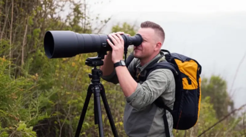 Wildlife Spotting Techniques and Ethical Practices: Where to Find Key Species, Best Times for Sightings, and Responsible Photography