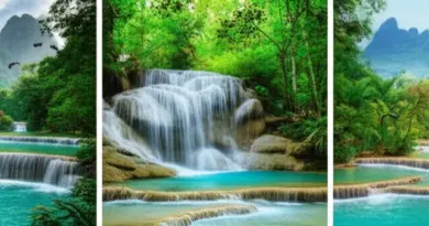 Best Regions and Birding Hotspots in Laos: Where to Go for Rare and Endemic Species (Kuang Si, Nam Et-Phou Louey, Phou Hin Poun)