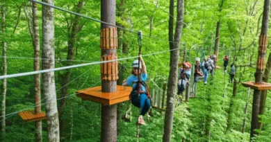 Choosing the Right Zipline Experience: Difficulty Levels, Age/Weight Limits, and Tour Lengths