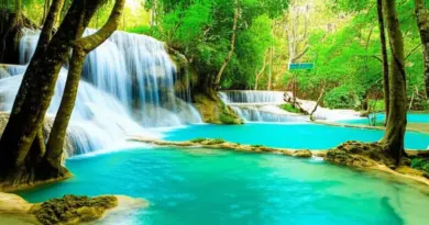 Day 2 – Kuang Si Waterfalls & Nature Excursions: How to get there, best time to visit, swimming spots, bear rescue center visit and packing checklist
