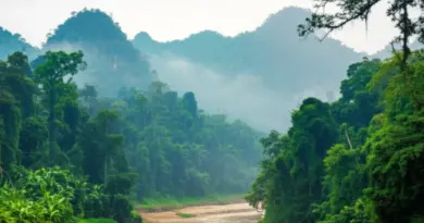 Exploring Laos’ National Protected Areas: The Ultimate Guide for Nature Lovers and Responsible Travelers