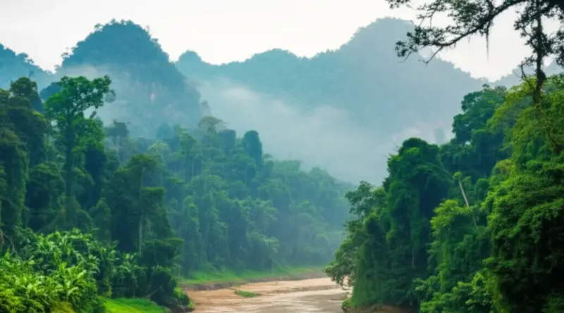 Exploring Laos’ National Protected Areas: The Ultimate Guide for Nature Lovers and Responsible Travelers
