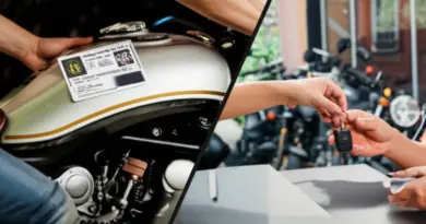 Safety, Permits, and Bike Logistics: Renting vs Bringing Your Own, License/Insurance Requirements, Mechanical Tips for Rough Roads