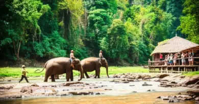 Top Ethical Elephant Sanctuaries in Laos — Profiles, Locations, Admission, and What to Expect During a Visit