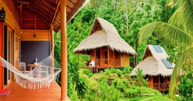 Types of Homestays and Typical Amenities — From Remote Village Stays to Eco-Friendly Bungalows and What’s Included