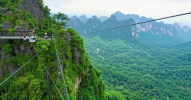 Where to Find the Best Zipline Parks in Laos: Regions, Operators, and What to Expect