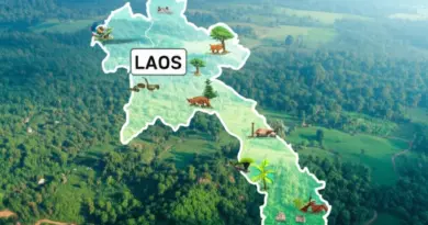 Why Laos’ Protected Areas Matter: Biodiversity, Conservation Priorities, and Best Times to Visit