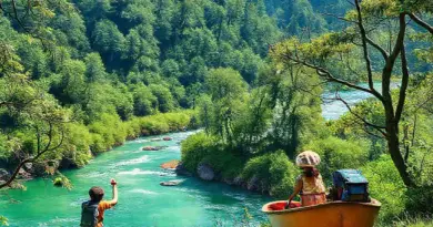 Activities and Attractions for Kids: Gentle Treks, Wildlife Encounters, Cultural Workshops, and River Cruises