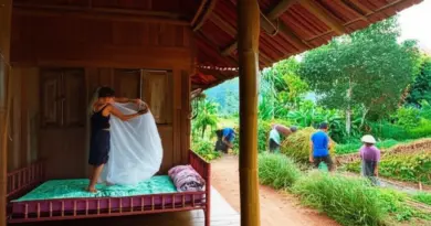 Preventing Mosquito-Borne Diseases in Laos: Practical Tips for Dengue, Malaria, and Zika Protection
