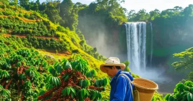 Southern Laos Explorer: Ultimate 6-Day Itinerary for Pakse, Bolaven Plateau & Four Thousand Islands