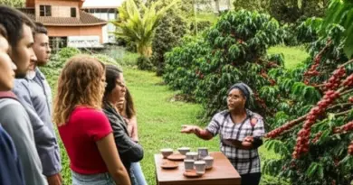 Top Plantations to Visit: Guided Tours, Tasting Experiences, and How to Book Local Coffee Tours