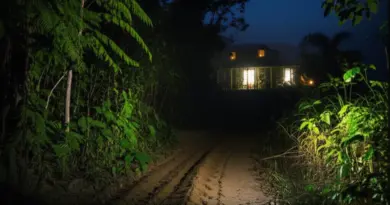 What is the Nam Et–Phou Louey Night Safari and why visit this national protected area?