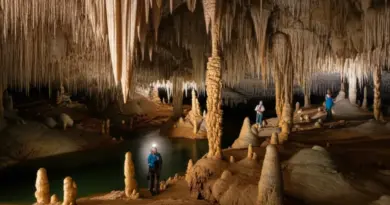 What to Expect Inside: cave formations, river passages, wildlife encounters, photography tips, and interpreting karst features for travelers