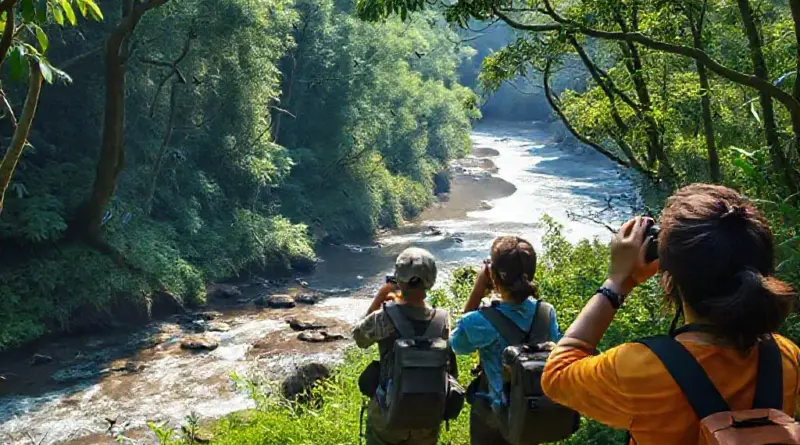 Birdwatching in Xe Pian National Protected Area: What You Can Spot and How to Plan Your Visit