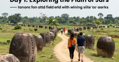 Day 1 — Exploring the Plain of Jars: Site Routes, Local Guides, Entrance Fees, and Photography Spots