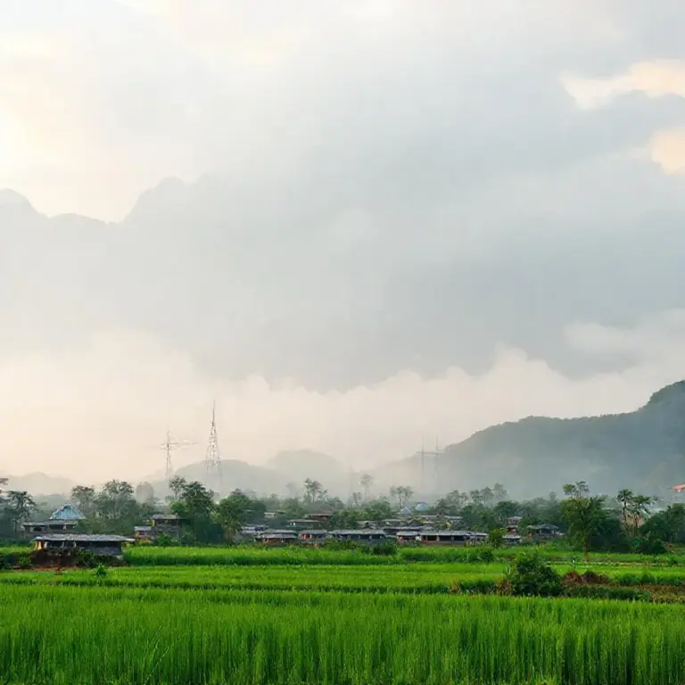 Economic and Environmental Co-benefits for Laos — impacts on local industries, job creation, and incentives for low-carbon development