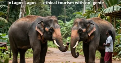 Responsible Elephant Encounters in Laos: Why Sanctuaries Matter and How to Visit Ethically
