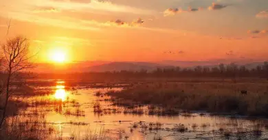 Seasonal Considerations and Optimal Times: Water Levels, Weather, and Wildlife to Expect at Sunset