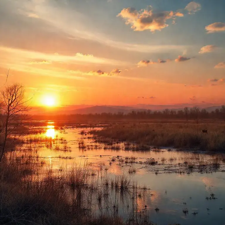 Seasonal Considerations and Optimal Times: Water Levels, Weather, and Wildlife to Expect at Sunset