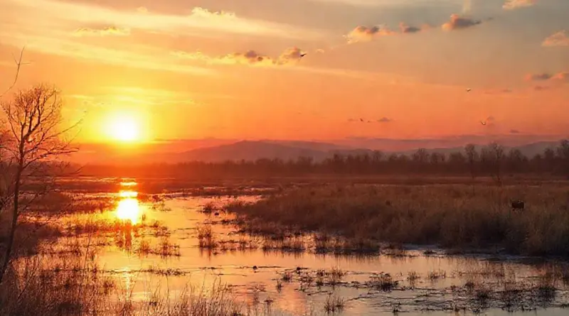 Seasonal Considerations and Optimal Times: Water Levels, Weather, and Wildlife to Expect at Sunset
