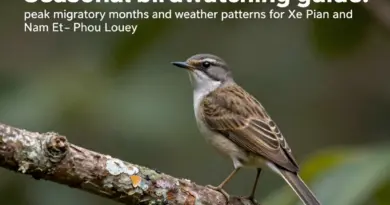 When to Visit: Seasonal Patterns, Peak Birding Months, and Weather Considerations for Xe Pian and Nam Et–Phou Louey