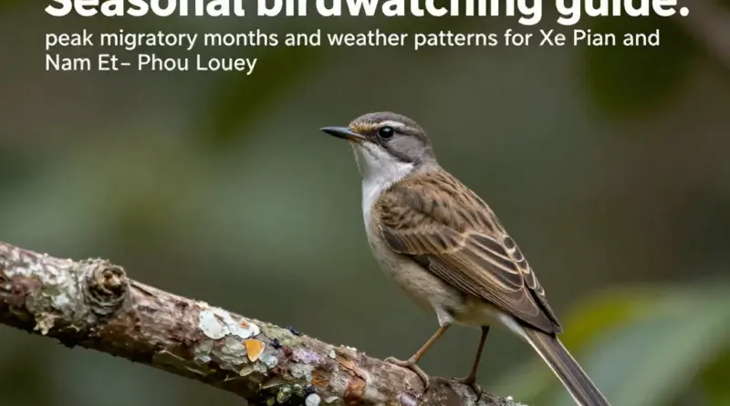 When to Visit: Seasonal Patterns, Peak Birding Months, and Weather Considerations for Xe Pian and Nam Et–Phou Louey
