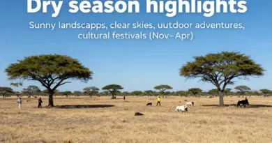 Dry Season Highlights (November–April): Ideal Times for Sightseeing, Outdoor Adventures, and Cultural Events