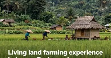H2: What Is The Living Land Company and Why Is It a Must-Do Activity in Luang Prabang?