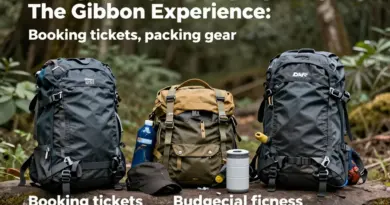 How to Prepare for The Gibbon Experience: Booking, Packing, Physical Requirements, and Cost Breakdown