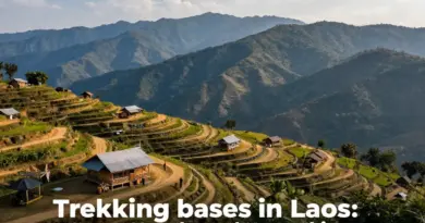 Best Trekking Bases in Laos: Luang Namtha vs. Nong Khiaw