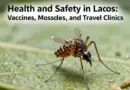Health and Safety in Laos: Vaccines, Mosquitoes, and Travel Clinics