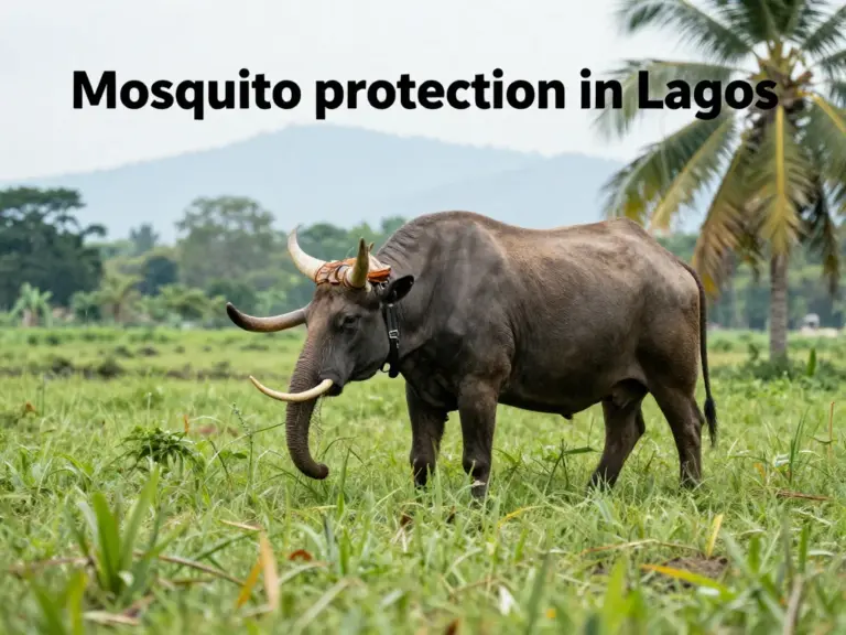 How to Protect Yourself from Mosquitoes in Laos