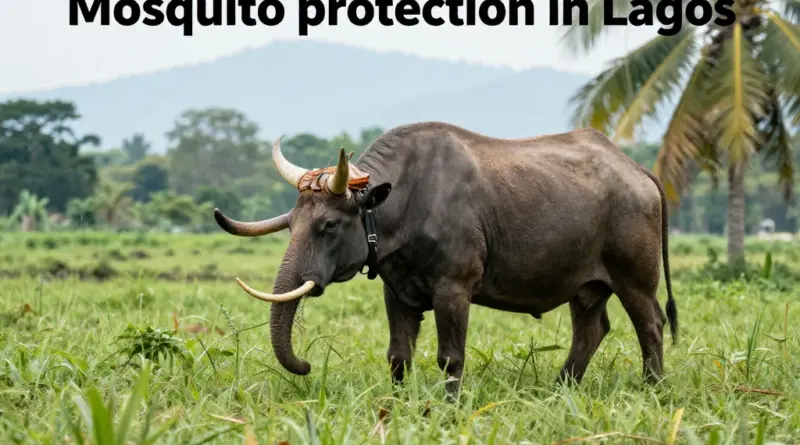 How to Protect Yourself from Mosquitoes in Laos