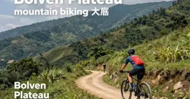 What Is the Bolaven Plateau? A Scenic Overview for Mountain Bikers