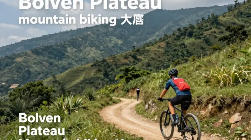 What Is the Bolaven Plateau? A Scenic Overview for Mountain Bikers