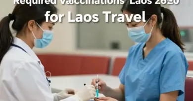 What Vaccines Do You Need for Laos?