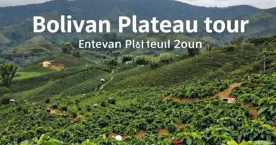 What to Expect on a Coffee Plantation Tour in Bolaven Plateau