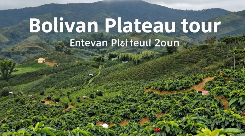 What to Expect on a Coffee Plantation Tour in Bolaven Plateau